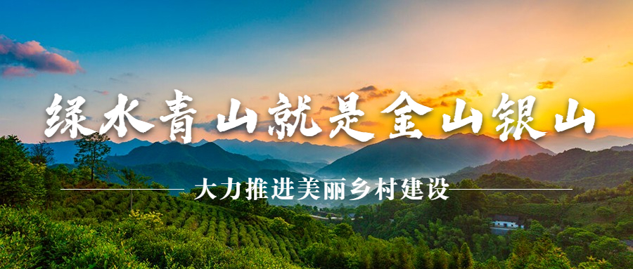 多措并举改善农村人居环境，助力美丽乡村建设